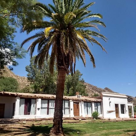 Hotel Hacienda Casa Blanca Tinogasta Dış mekan fotoğraf