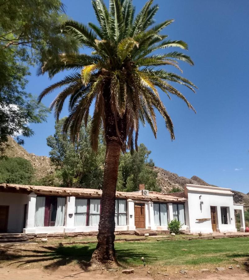 Hotel Hacienda Casa Blanca Tinogasta Dış mekan fotoğraf