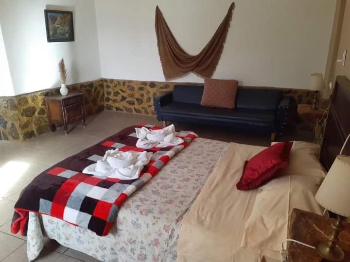 Hotel Hacienda Casa Blanca Tinogasta Dış mekan fotoğraf
